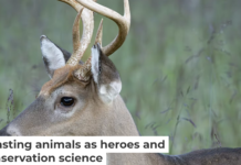 When species are described as ‘destructive’ or ‘harmful’ without sufficient context, it can shape how people perceive and treat them. Beata Whitehead/Moment via Getty Images